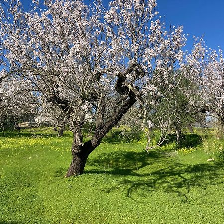Casa Tranquila Barrada Villa Alcoutim Eksteriør billede